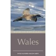 Where to Watch Birds in Wales (Where to Watch Birds)