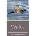 Where to Watch Birds in Wales (Where to Watch Birds)