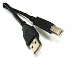 Link Depot Cable 10FT USB2.0 AM-BM