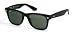 RayBan RB 2113 Sunglasses (Large (54))