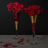 Carnation - David Beahm New York