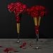 Carnation - David Beahm New York