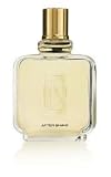 PS for Men by Paul Sebastian 4.0 oz After Shave Tester