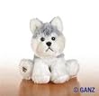 Webkinz lil'kinz Husky by Ganz