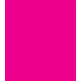 Brights Fluorescent Paint Pens-Bright Pink