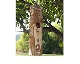 Songbird Cedar Suet Log with Perches - B000XK1HIG