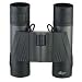 Sports : Luger LD 10x26 Fernglas