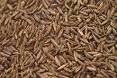 Save on Certified Organic Caraway Seed by Healthy Condiments