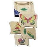 Beleduc Wooden 5-Layer Wooden Puzzle, Butterfly Life-Cycle Puzzle