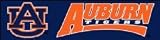 BAU Auburn Giant 8-Foot X 2-Foot Nylon Banner