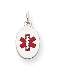 Sterling Silver Medical Jewelry Charm