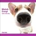 Welsh Corgi The Dog 2009 Wall Calendar