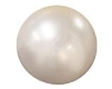 Max Fitness Anti-burst Exercise Ball with Free Pump