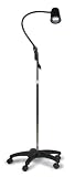 Hausmann Full Spectrum Mobile Lamp