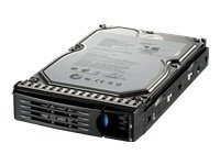 IOMEGA 2 TB Hot-Swap HDD fuer ix12-300r Preisvergleich