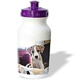 VWPics Nano Calvo Photography Dog - 1 months old puppy waits in bed - Water Bottles