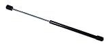 Taylor Made Products Replacement Gas Shocks for Dock Boxes