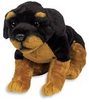 Asthma Friendly Certified Rottweiler