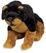 Asthma Friendly Certified Rottweiler