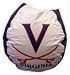 Bean Bag U Of Virginia Cavaliers