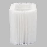 40190 Honeywell Air Cleaner Replacement Filter