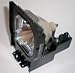 PHILIPS 610-292-4831 Projector Lamp with Housing