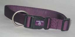 Adjustable Dog Collar - 3/4 in. x 16 to 22 in. - Plum