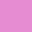 PRIMROSE PURPLE