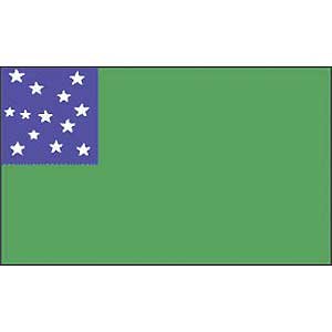 Green Mountain Boys Flag