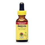 Angelica Root Extract - 1 oz., (Nature s Answer)