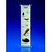 Mollusc Types Display Mount