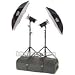 Photogenic PL20K 2000 total watt second DR PowerLight Travel Kit (2-Light)