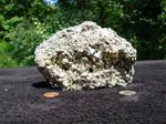 Dazzling Pyrite or "Fools Gold" Genuine Mineral Specimen