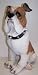 Resin BullDog 20.5in tall x 6-12in x 6in