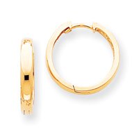 Childrens Toyshop  Jewelry : 14k Hinged Earrings