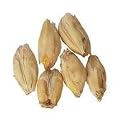 Pale Ale Malt for Home Brewing Whole Grain 10 lbs