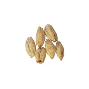American White Wheat for Home Brewing 5-lbs Crushed Grain