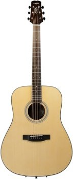 Wechter Guitars DN-8118 Mahogany Dreadnought