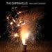 Damnwells-One Last Century