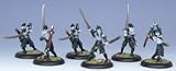Legion of Everblight Blighted Swordsmen Box Hordes