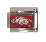 Arkansas Razorback Italian Style Charm