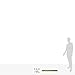 Teacher Created Resources Elements Straight Border Trim (5804)