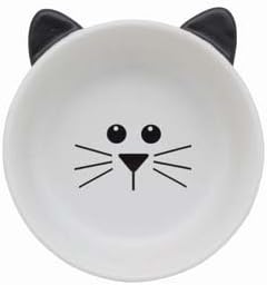 A Pets World Adorable Cat Dish with Face for Kitty