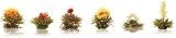 Creano AbloomTea Teapot Giftbox with 6 White Teaballs