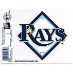Tampa Bay Rays Window Cling Decal