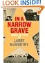 In a Narrow Grave: Essays on Texas