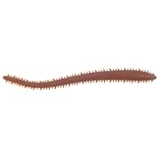 Gulp! Saltwater Sandworm