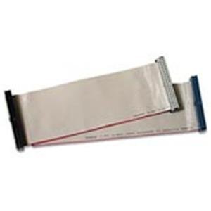 External hard drive:Cables To Go - 50052 - 24in ATA133 EIDE Flat Ribbon Cable 2-Device