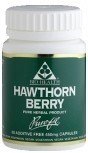 Bio Health Hawthorn Berry - 200mg 60 caps (Bio-Health)