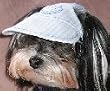 Dog Sun Visor in Lt Blue for Dogs 12-25 Lbs